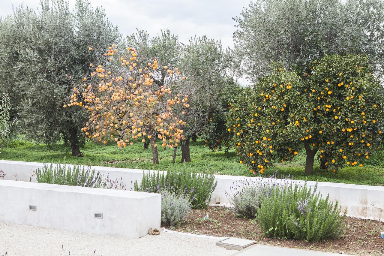 Le Stanze Di Meli Bed and Breakfast Palagianello Εξωτερικό φωτογραφία