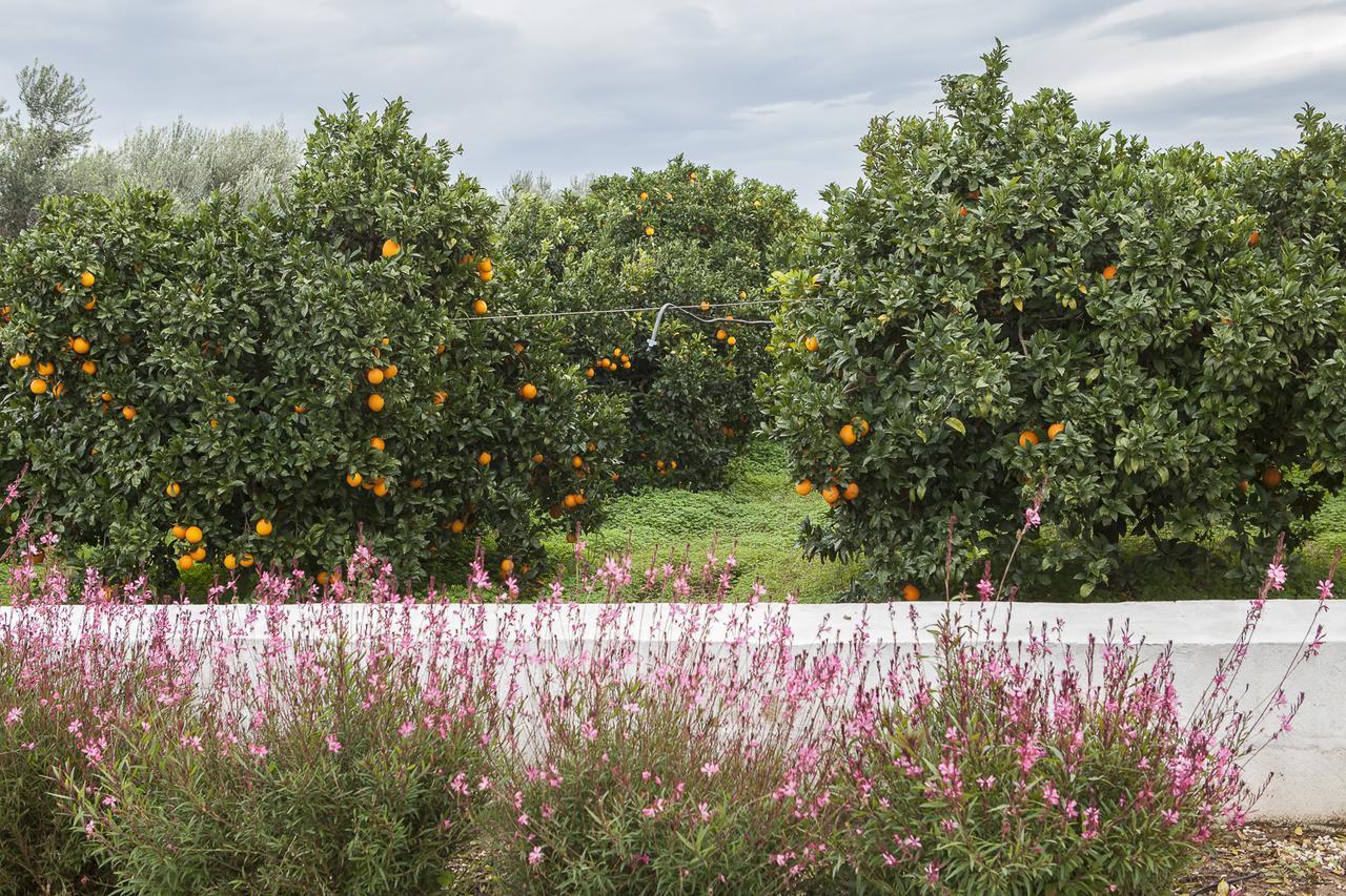 Le Stanze Di Meli Bed and Breakfast Palagianello Εξωτερικό φωτογραφία
